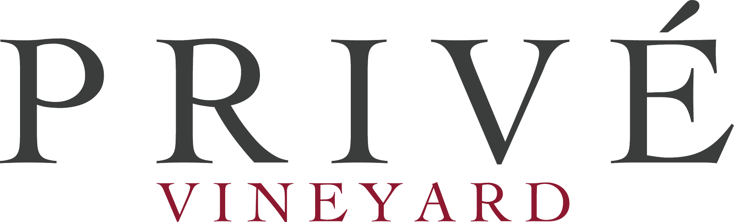 Shop — Privé Vineyard